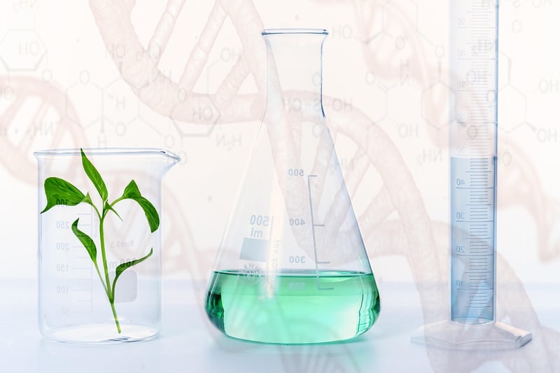 Lab-Grown Meat Alternatives